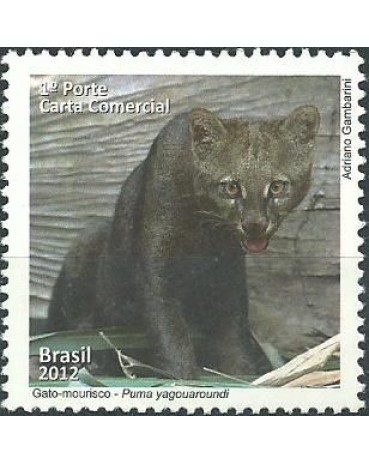 C3217 GATO-MOURISCO 2013 - 7855 MINT